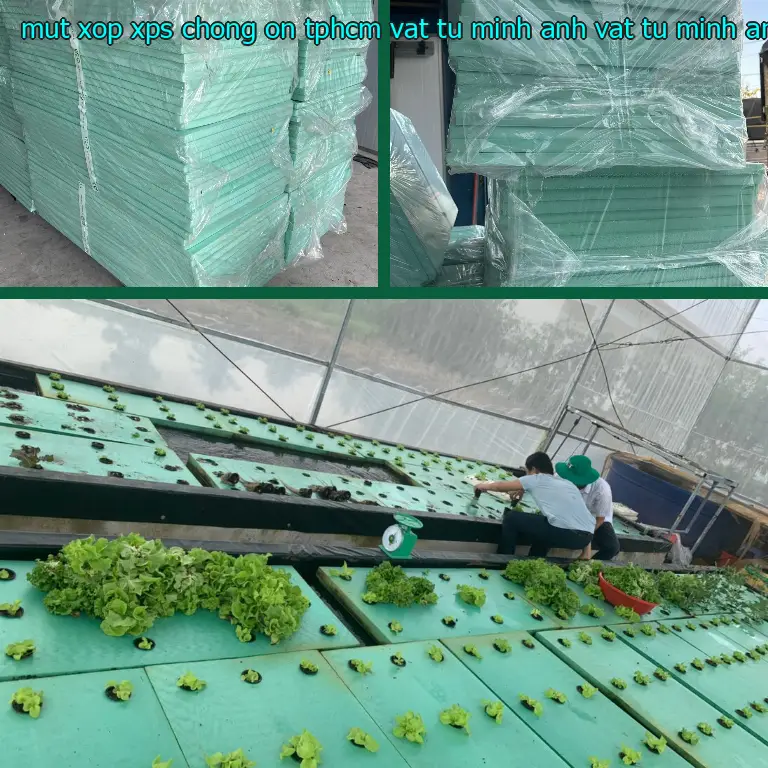Nhà sản xuất mút xốp XPS chống ồn TpHCM Vật tư Minh Anh: Vật tư Minh Anh Nhà sản xuất mút xốp XPS chống ồn TpHCM Vật tư Minh Anh: Vật tư Minh Anh