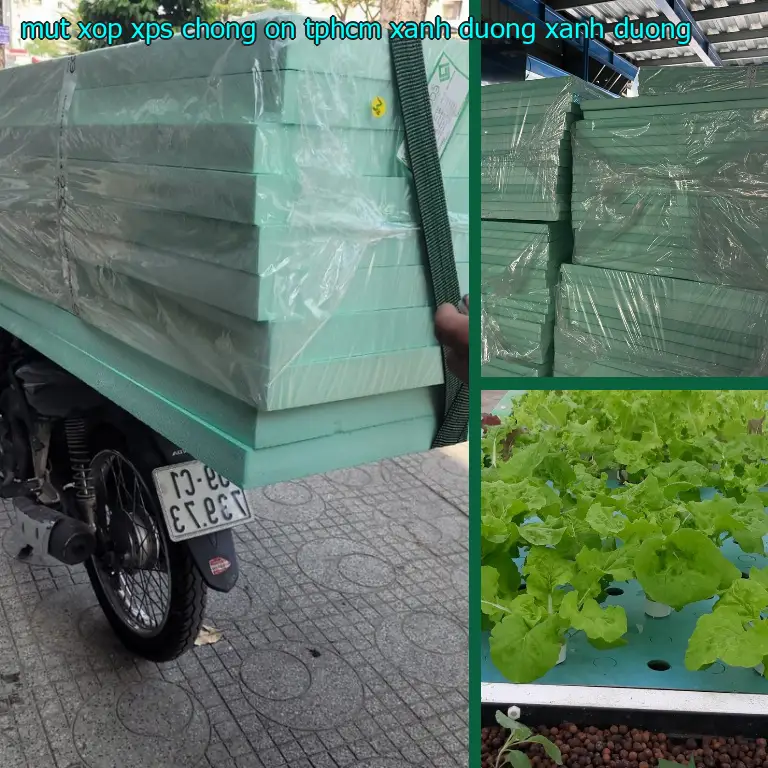 Màu sắc mút xốp XPS chống ồn TpHCM Xanh dương: Xanh dương Màu sắc mút xốp XPS chống ồn TpHCM Xanh dương: Xanh dương