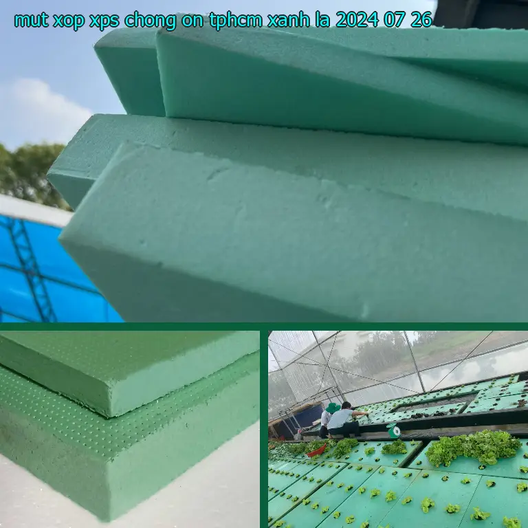 Ngày sản xuất mút xốp XPS chống ồn TpHCM Xanh lá: 2024-07-26 Ngày sản xuất mút xốp XPS chống ồn TpHCM Xanh lá: 2024-07-26