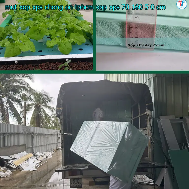 Kích thước mút xốp XPS chống ồn TpHCM Xốp XPS: 70*160*5.0 cm Kích thước mút xốp XPS chống ồn TpHCM Xốp XPS: 70*160*5.0 cm