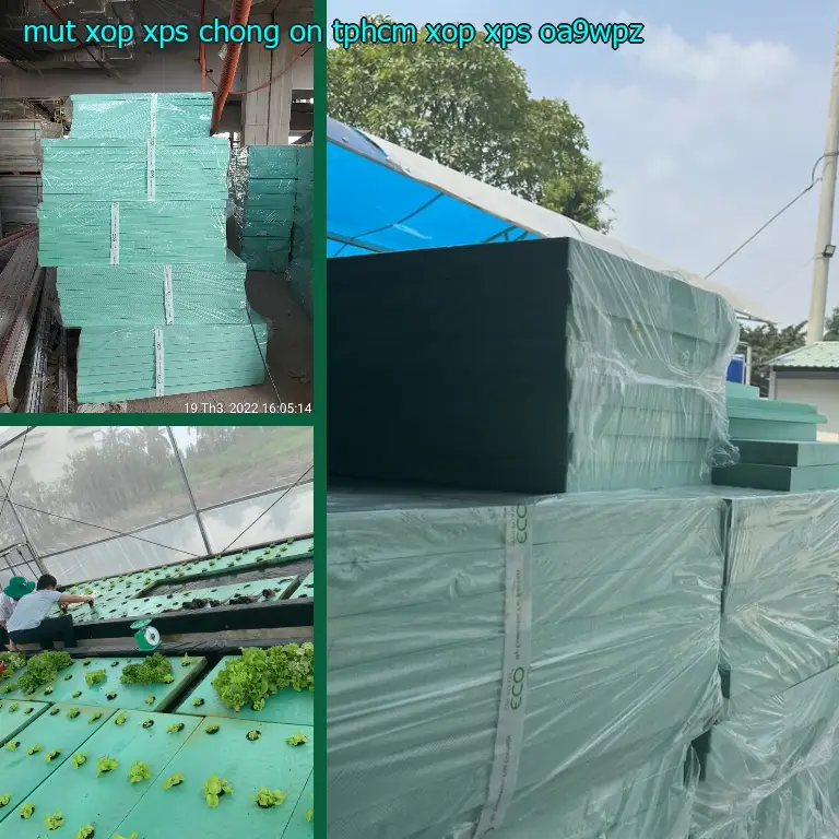 Model mút xốp XPS chống ồn TpHCM Xốp XPS: OA9WPZ Model mút xốp XPS chống ồn TpHCM Xốp XPS: OA9WPZ