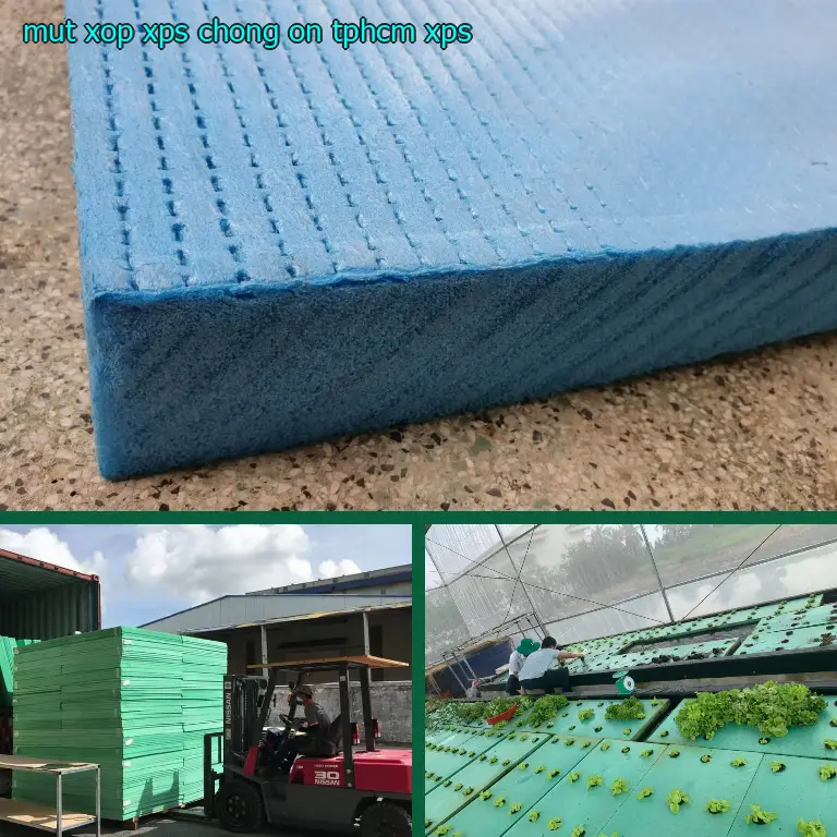 Mút xốp XPS chống ồn TpHCM XPS