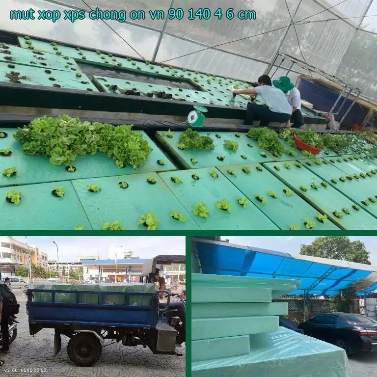 Kích thước mút xốp XPS chống ồn VN: 90*140*4.6 cm Kích thước mút xốp XPS chống ồn VN: 90*140*4.6 cm