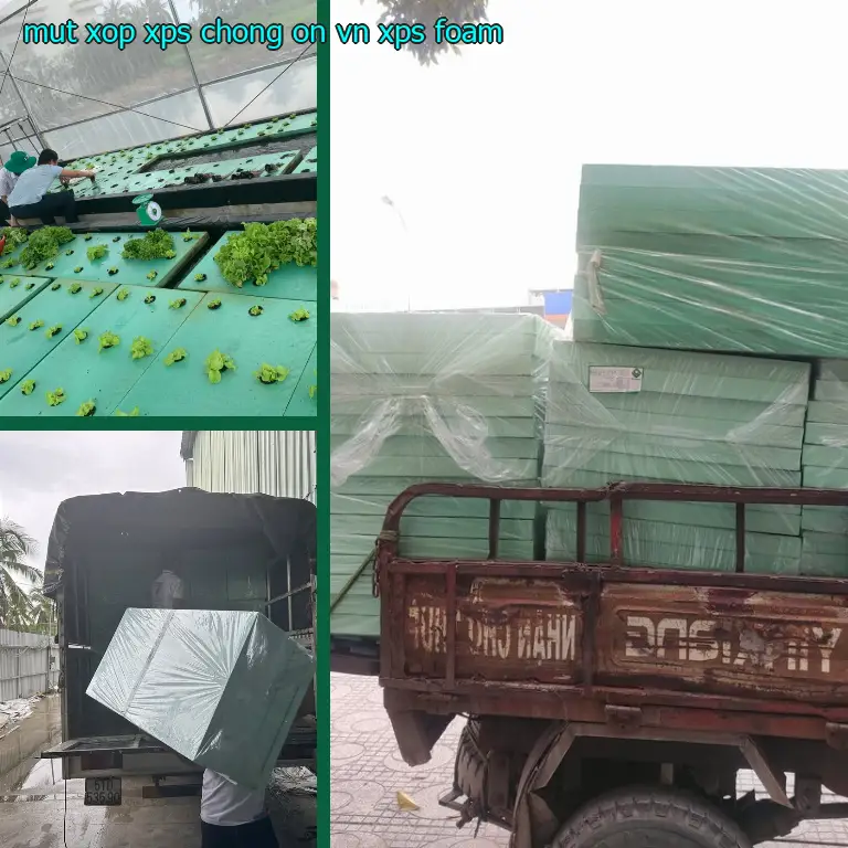 Danh mục mút xốp XPS chống ồn VN: XPS Foam Danh mục mút xốp XPS chống ồn VN: XPS Foam