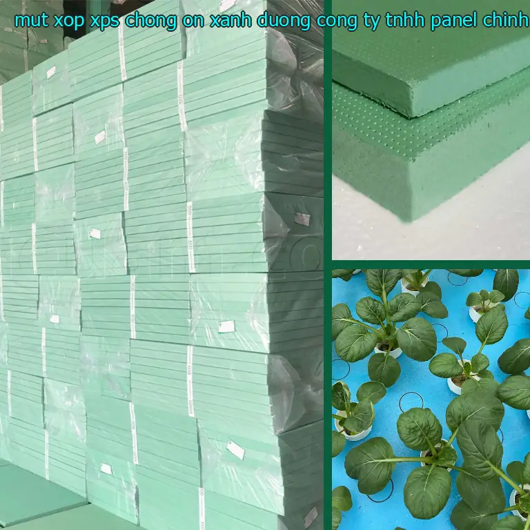 Nhà sản xuất mút xốp XPS chống ồn Xanh dương: Công ty TNHH Panel Chính Hãng