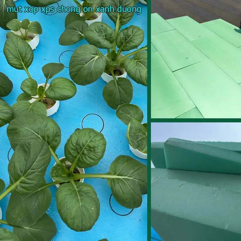 Mút xốp XPS chống ồn Xanh dương