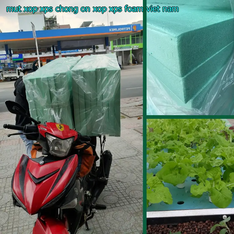 Xuất xứ mút xốp XPS chống ồn Xốp XPS Foam: Viet Nam Xuất xứ mút xốp XPS chống ồn Xốp XPS Foam: Viet Nam