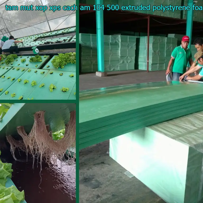 Chất liệu tấm mút xốp XPS cách âm 104.500₫: Extruded Polystyrene Foam Chất liệu tấm mút xốp XPS cách âm 104.500₫: Extruded Polystyrene Foam