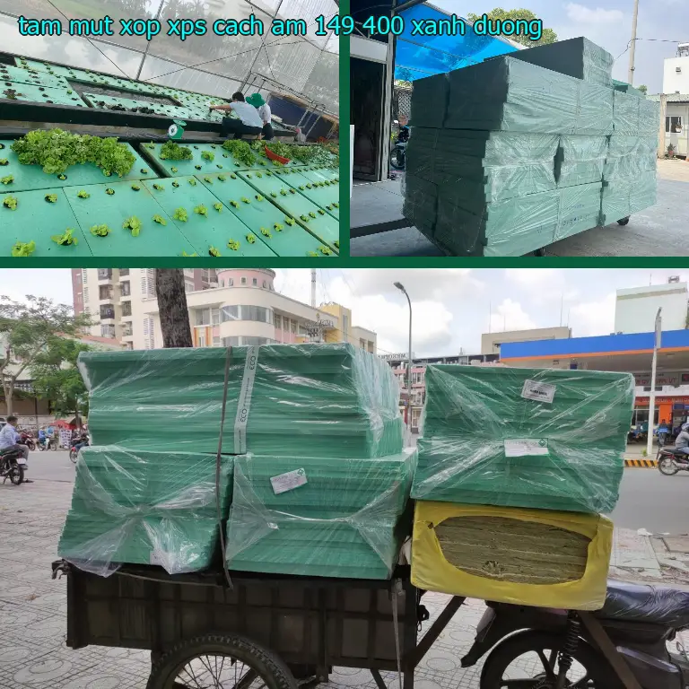 Màu sắc tấm mút xốp XPS cách âm 149.400₫: Xanh dương