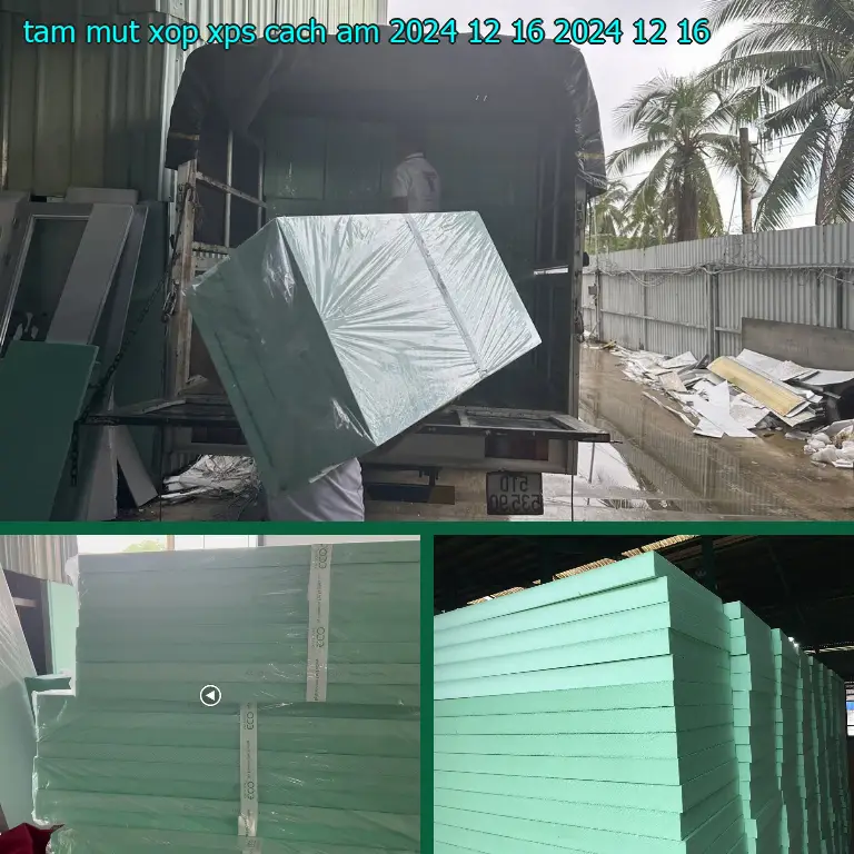 Ngày sản xuất tấm mút xốp XPS cách âm 2024-12-16: 2024-12-16 Ngày sản xuất tấm mút xốp XPS cách âm 2024-12-16: 2024-12-16
