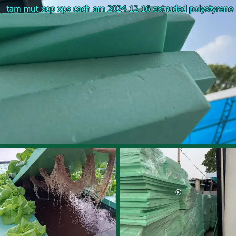 Chất liệu tấm mút xốp XPS cách âm 2024-12-16: Extruded Polystyrene Chất liệu tấm mút xốp XPS cách âm 2024-12-16: Extruded Polystyrene