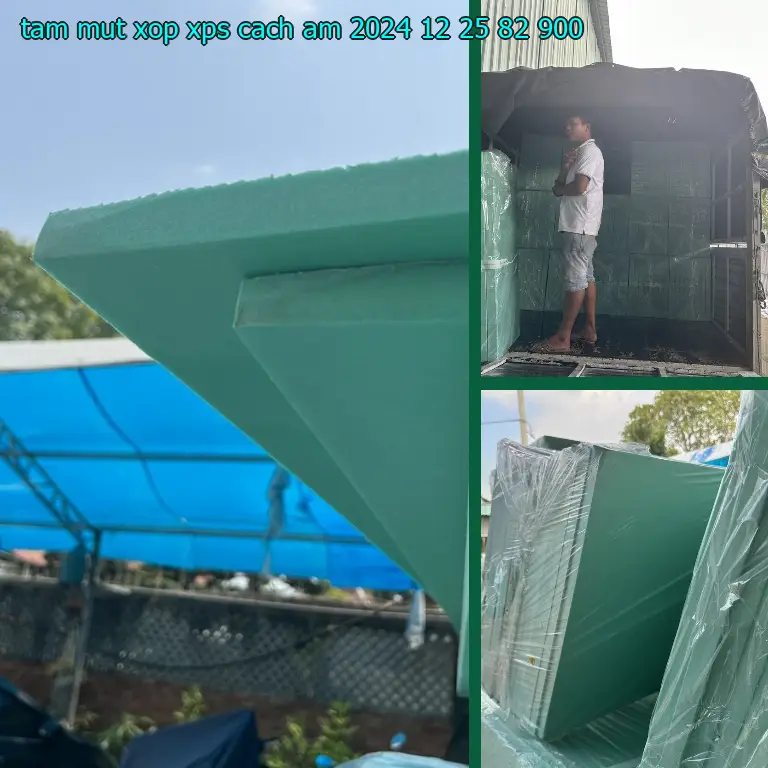 Giá tấm mút xốp XPS cách âm 2024-12-25: 82.900₫ Giá tấm mút xốp XPS cách âm 2024-12-25: 82.900₫