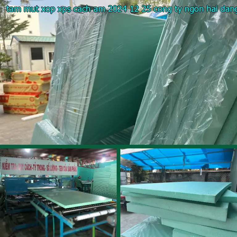 Nhà cung cấp tấm mút xốp XPS cách âm 2024-12-25: Công ty Ngọn Hải Đăng Nhà cung cấp tấm mút xốp XPS cách âm 2024-12-25: Công ty Ngọn Hải Đăng