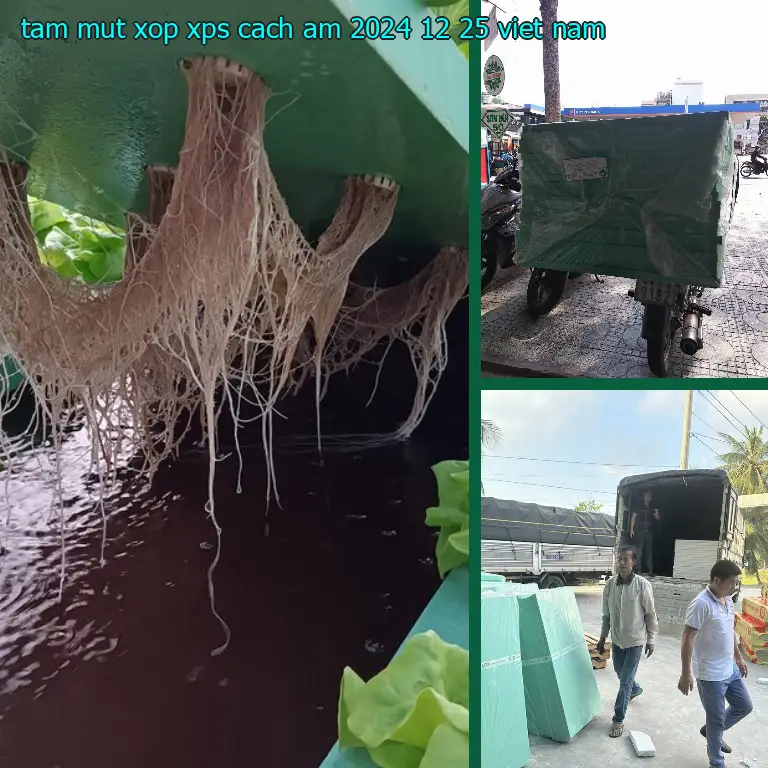 Xuất xứ tấm mút xốp XPS cách âm 2024-12-25: Việt Nam Xuất xứ tấm mút xốp XPS cách âm 2024-12-25: Việt Nam