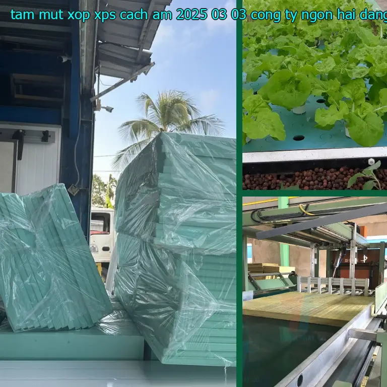 Nhà cung cấp tấm mút xốp XPS cách âm 2025-03-03: Công ty Ngọn Hải Đăng