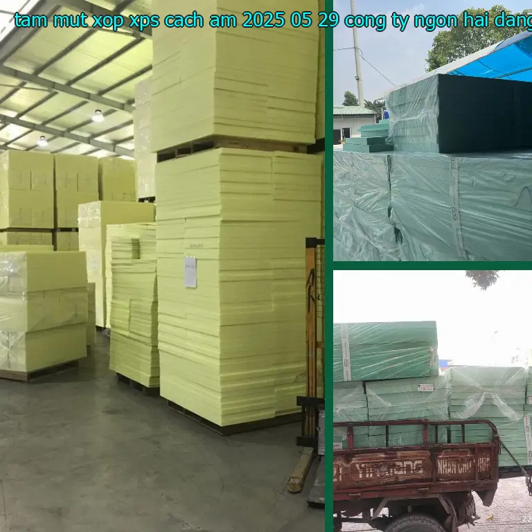 Nhà cung cấp tấm mút xốp XPS cách âm 2025-05-29: Công ty Ngọn Hải Đăng Nhà cung cấp tấm mút xốp XPS cách âm 2025-05-29: Công ty Ngọn Hải Đăng