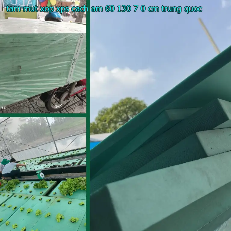 Xuất xứ tấm mút xốp XPS cách âm 60*130*7.0 cm: Trung Quốc