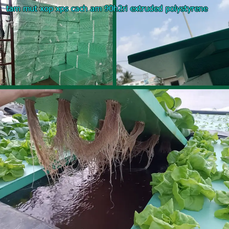 Chất liệu tấm mút xốp XPS cách âm 90H2RI: Extruded Polystyrene Chất liệu tấm mút xốp XPS cách âm 90H2RI: Extruded Polystyrene