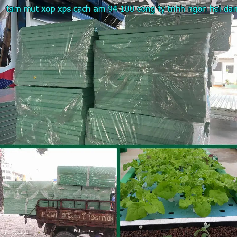 Nhà cung cấp tấm mút xốp XPS cách âm 94.100₫: Công ty TNHH Ngọn Hải Đăng