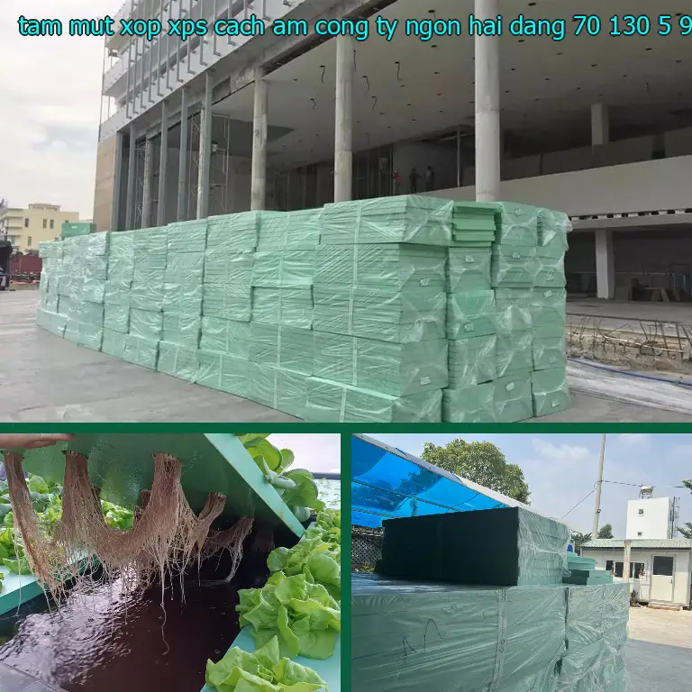 Kích thước tấm mút xốp XPS cách âm Công ty Ngọn Hải Đăng: 70*130*5.9 cm