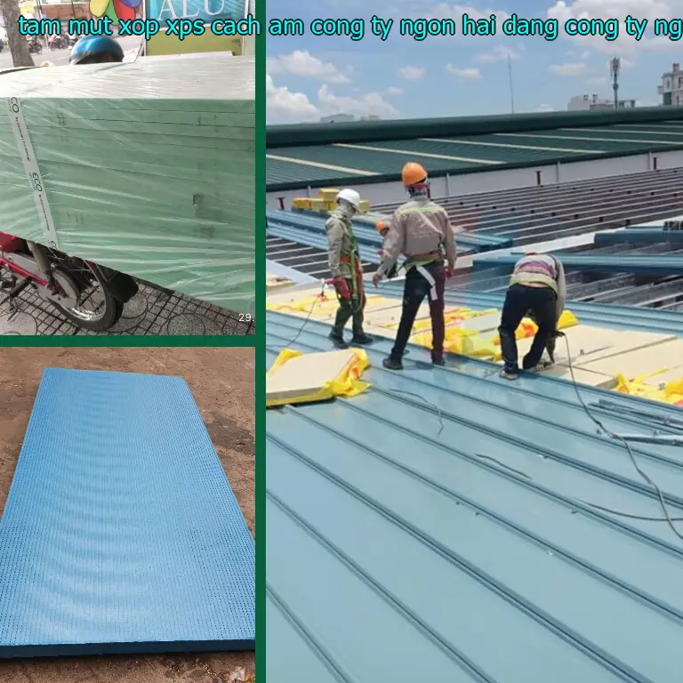 Nhà cung cấp tấm mút xốp XPS cách âm Công ty Ngọn Hải Đăng: Công ty Ngọn Hải Đăng
