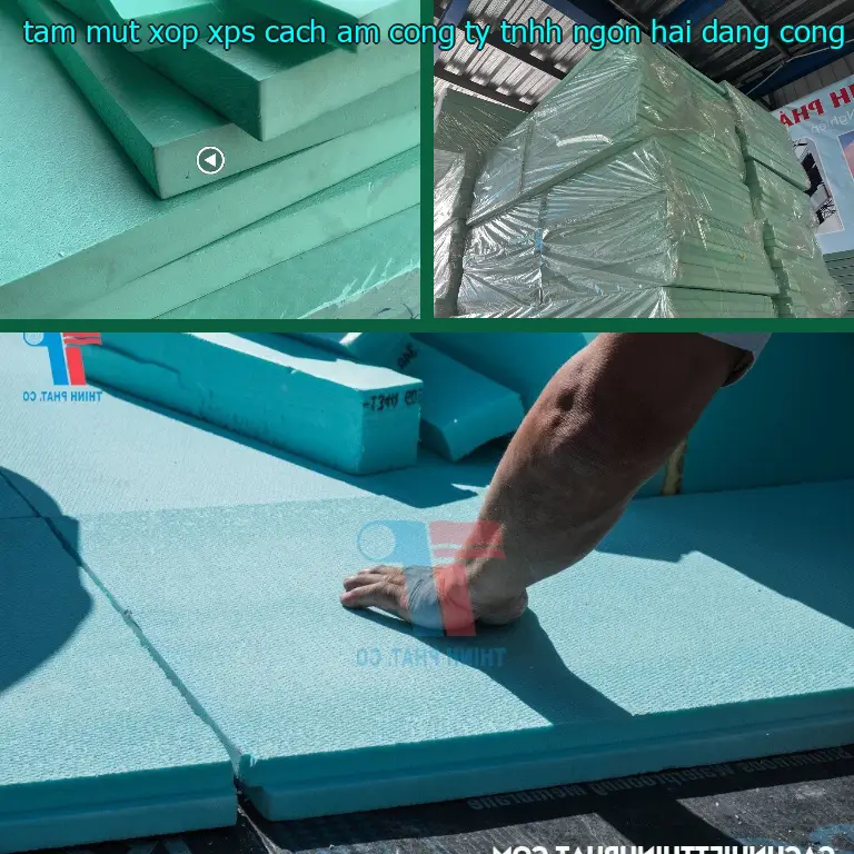 Nhà cung cấp tấm mút xốp XPS cách âm Công ty TNHH Ngọn Hải Đăng: Công ty TNHH Ngọn Hải Đăng