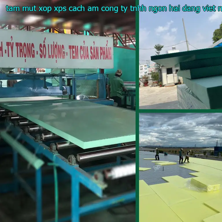 Xuất xứ tấm mút xốp XPS cách âm Công ty TNHH Ngọn Hải Đăng: Viet Nam