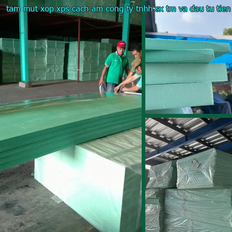 Model tấm mút xốp XPS cách âm Công ty TNHH SX TM và đầu tư Tiến Phong: M3BTVS Model tấm mút xốp XPS cách âm Công ty TNHH SX TM và đầu tư Tiến Phong: M3BTVS