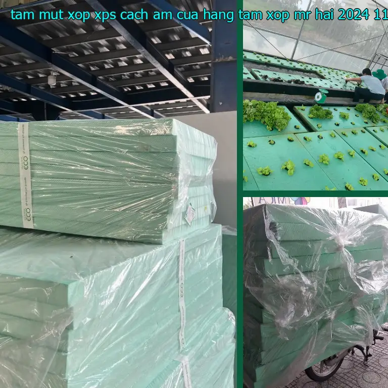 Ngày sản xuất tấm mút xốp XPS cách âm Cửa hàng tấm xốp Mr.HẢI: 2024-11-20 Ngày sản xuất tấm mút xốp XPS cách âm Cửa hàng tấm xốp Mr.HẢI: 2024-11-20