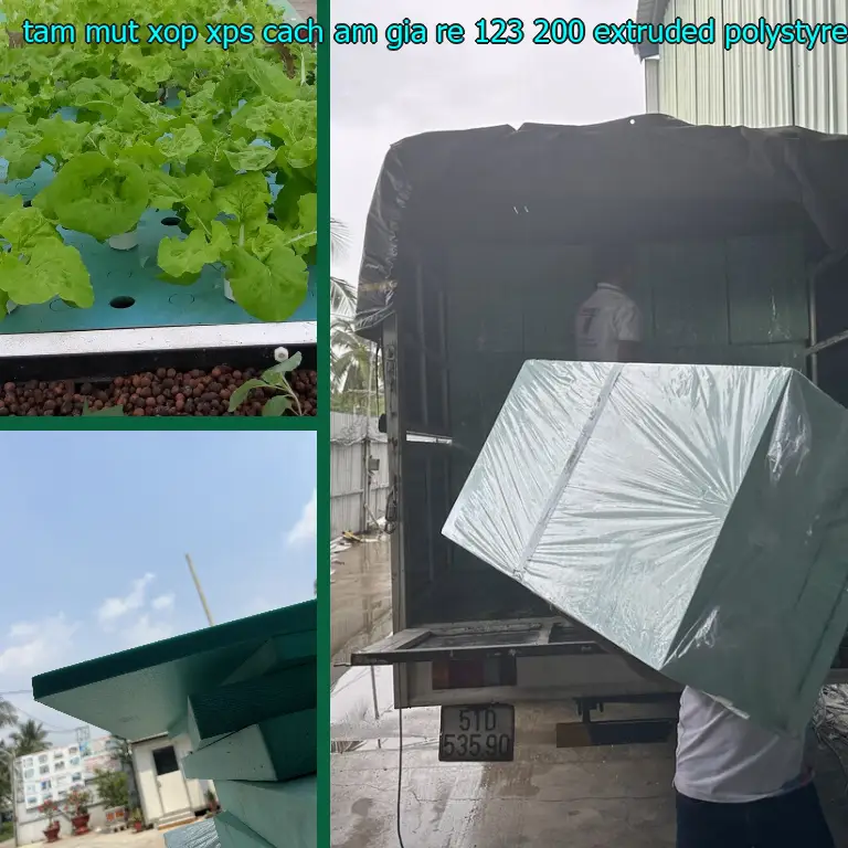 Chất liệu tấm mút xốp XPS cách âm giá rẻ 123.200₫: Extruded Polystyrene Chất liệu tấm mút xốp XPS cách âm giá rẻ 123.200₫: Extruded Polystyrene