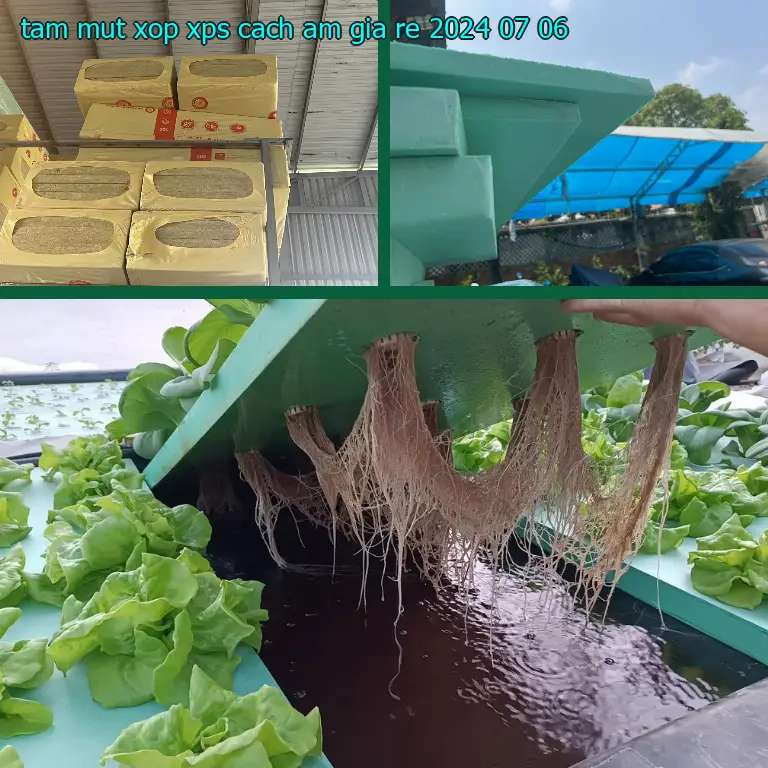 Tấm mút xốp XPS cách âm giá rẻ 2024-07-06