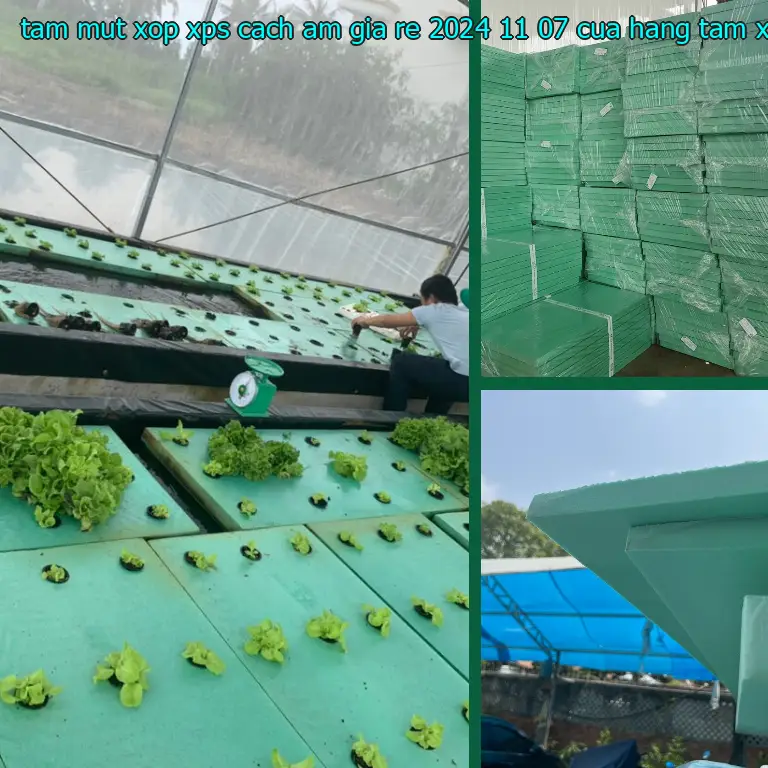 Nhà cung cấp tấm mút xốp XPS cách âm giá rẻ 2024-11-07: Cửa hàng tấm xốp Mr.HẢI Nhà cung cấp tấm mút xốp XPS cách âm giá rẻ 2024-11-07: Cửa hàng tấm xốp Mr.HẢI