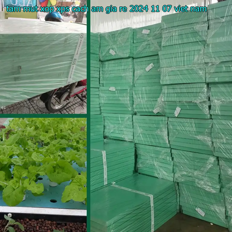 Xuất xứ tấm mút xốp XPS cách âm giá rẻ 2024-11-07: Việt Nam Xuất xứ tấm mút xốp XPS cách âm giá rẻ 2024-11-07: Việt Nam
