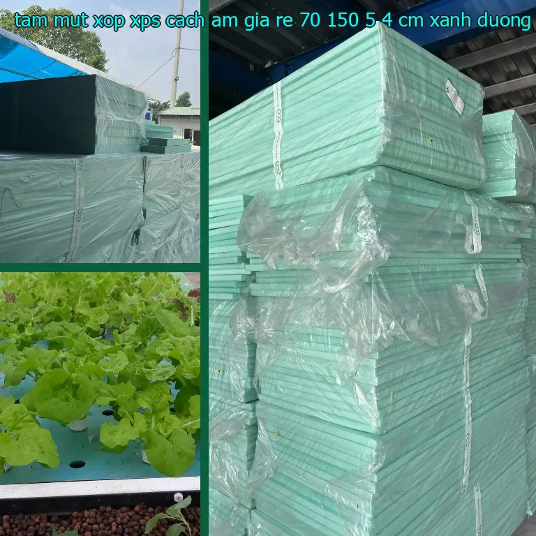 Màu sắc tấm mút xốp XPS cách âm giá rẻ 70*150*5.4 cm: Xanh dương Màu sắc tấm mút xốp XPS cách âm giá rẻ 70*150*5.4 cm: Xanh dương