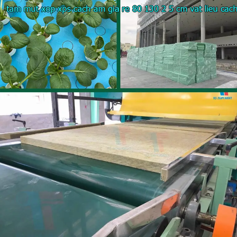 Nhà sản xuất tấm mút xốp XPS cách âm giá rẻ 80*130*2.5 cm: Vật liệu cách âm cách nhiệt Cát Tường Nhà sản xuất tấm mút xốp XPS cách âm giá rẻ 80*130*2.5 cm: Vật liệu cách âm cách nhiệt Cát Tường