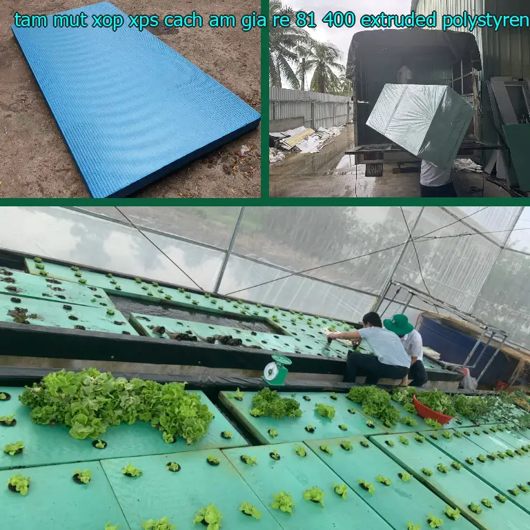 Chất liệu tấm mút xốp XPS cách âm giá rẻ 81.400₫: Extruded Polystyrene Chất liệu tấm mút xốp XPS cách âm giá rẻ 81.400₫: Extruded Polystyrene