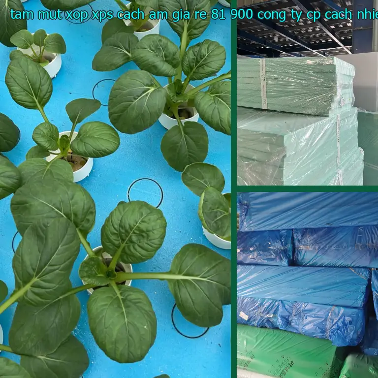 Nhà sản xuất tấm mút xốp XPS cách âm giá rẻ 81.900₫: Công ty CP cách nhiệt Khải Hoàn