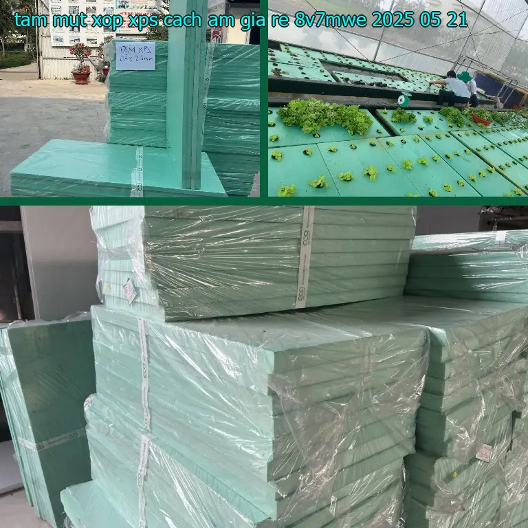 Ngày sản xuất tấm mút xốp XPS cách âm giá rẻ 8V7MWE: 2025-05-21