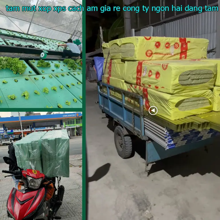 Nhà sản xuất tấm mút xốp XPS cách âm giá rẻ Công ty Ngọn Hải Đăng: Tấm xốp XPS Hiệp Thành Nhà sản xuất tấm mút xốp XPS cách âm giá rẻ Công ty Ngọn Hải Đăng: Tấm xốp XPS Hiệp Thành