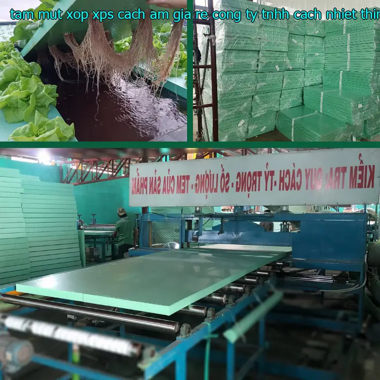 Kích thước tấm mút xốp XPS cách âm giá rẻ Công ty TNHH cách nhiệt Thịnh Phát: 70*120*2.7 cm Kích thước tấm mút xốp XPS cách âm giá rẻ Công ty TNHH cách nhiệt Thịnh Phát: 70*120*2.7 cm