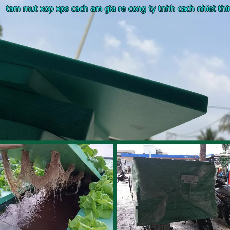 Nhà cung cấp tấm mút xốp XPS cách âm giá rẻ Công ty TNHH cách nhiệt Thịnh Phát: Vật Liệu Xây Dựng Mr.HẢI Nhà cung cấp tấm mút xốp XPS cách âm giá rẻ Công ty TNHH cách nhiệt Thịnh Phát: Vật Liệu Xây Dựng Mr.HẢI