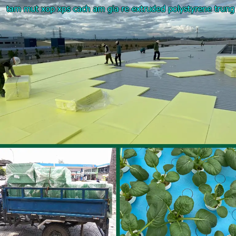 Xuất xứ tấm mút xốp XPS cách âm giá rẻ Extruded Polystyrene: Trung Quốc Xuất xứ tấm mút xốp XPS cách âm giá rẻ Extruded Polystyrene: Trung Quốc