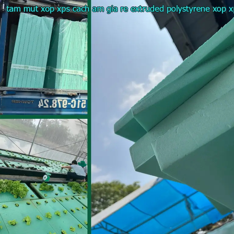 Danh mục tấm mút xốp XPS cách âm giá rẻ Extruded Polystyrene: Xốp XPS Danh mục tấm mút xốp XPS cách âm giá rẻ Extruded Polystyrene: Xốp XPS