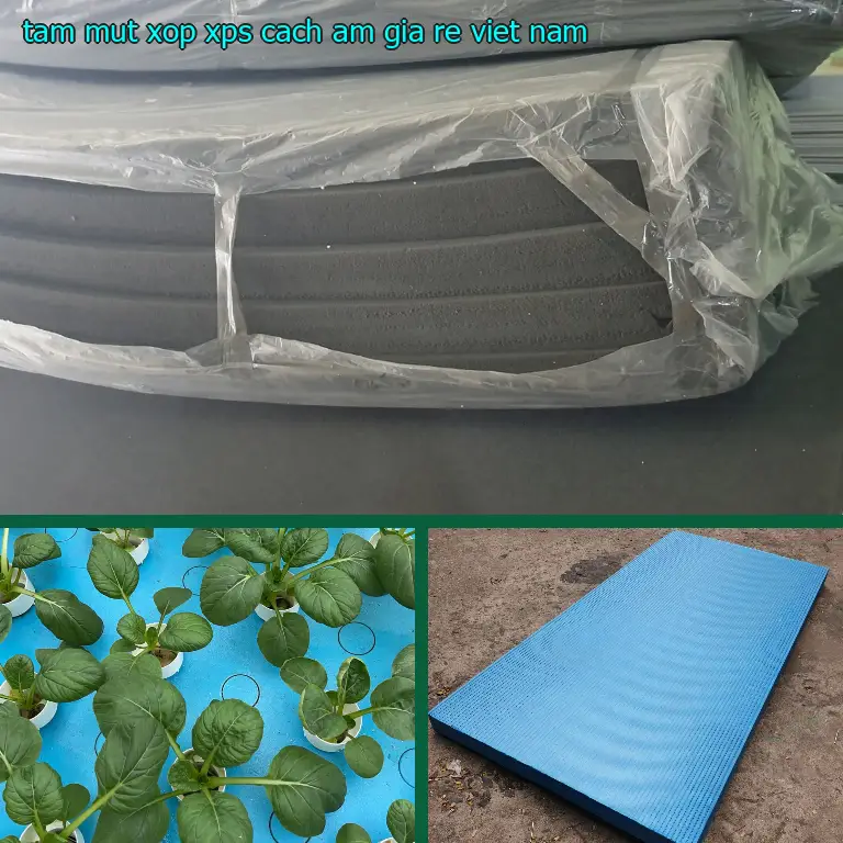 Tấm mút xốp XPS cách âm giá rẻ Việt Nam