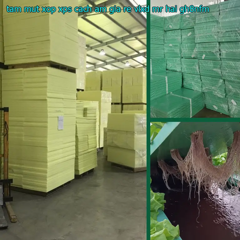 Model tấm mút xốp XPS cách âm giá rẻ VLXD Mr.HẢI: GH8NFM