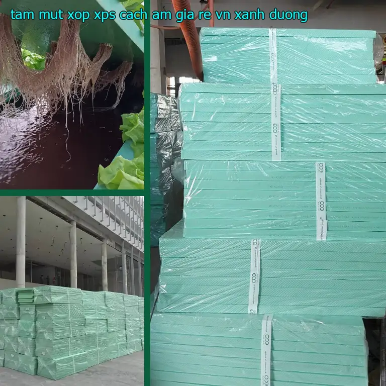 Màu sắc tấm mút xốp XPS cách âm giá rẻ VN: Xanh dương Màu sắc tấm mút xốp XPS cách âm giá rẻ VN: Xanh dương