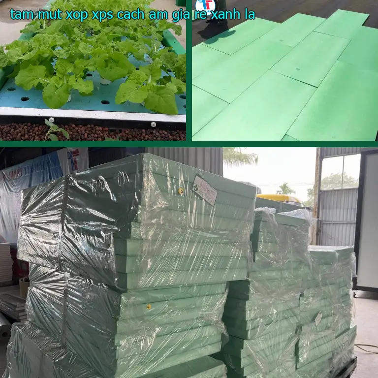 Tấm mút xốp XPS cách âm giá rẻ Xanh lá