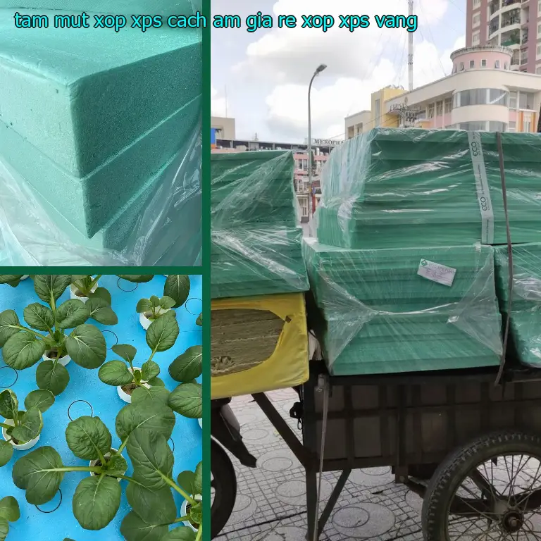 Màu sắc tấm mút xốp XPS cách âm giá rẻ Xốp XPS: Vàng