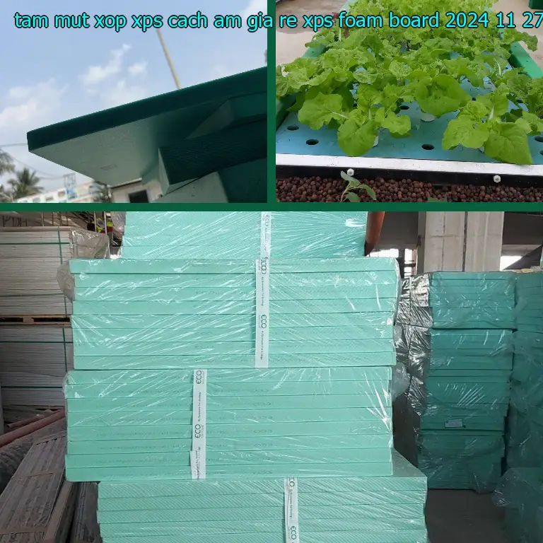 Ngày sản xuất tấm mút xốp XPS cách âm giá rẻ XPS Foam Board: 2024-11-27 Ngày sản xuất tấm mút xốp XPS cách âm giá rẻ XPS Foam Board: 2024-11-27