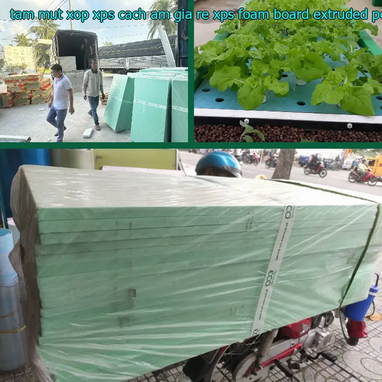 Chất liệu tấm mút xốp XPS cách âm giá rẻ XPS Foam Board: Extruded Polystyrene Chất liệu tấm mút xốp XPS cách âm giá rẻ XPS Foam Board: Extruded Polystyrene